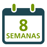 Icono de calendario de ocho semanas